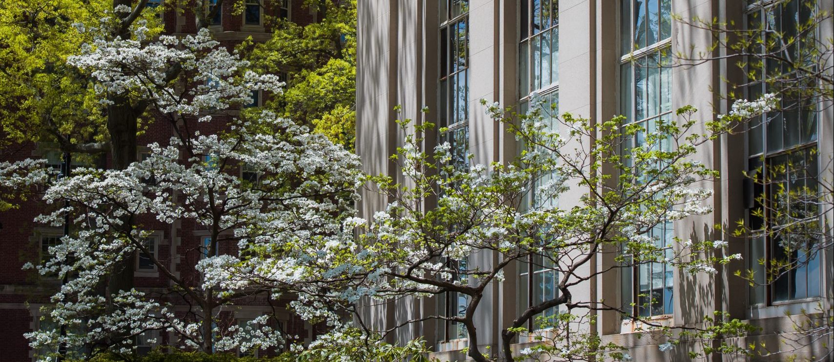 Caroline White-Nockleby PhD ’25 receives Obermayer Prize for Writing on the History of Innovation