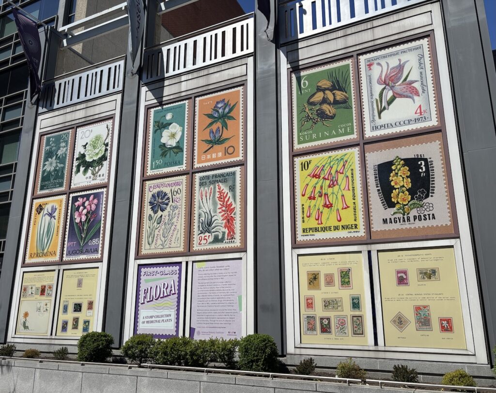 Taylor Bailey curates exhibit at Science History Institute